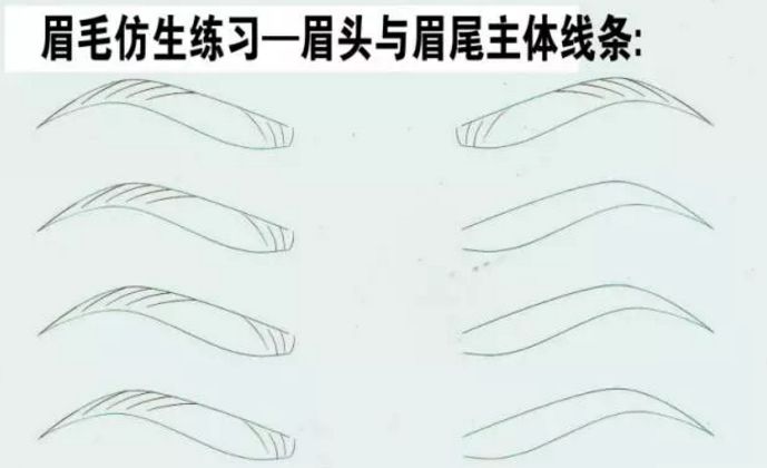 从业15年的资深纹绣师分享:线条眉,从入门到精通,手